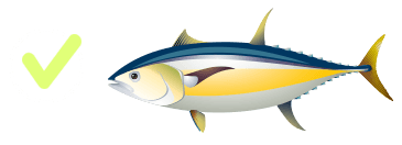 Tuna yellow