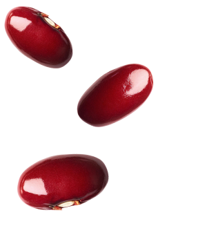 Mareblu - Insalata di tonno con legumi - ActivePRO - Ingrediente 2