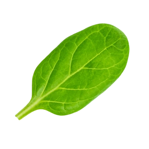 Mareblu - Sfilaccetti di tonno con lime e basilico - Ingrediente 3