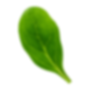 Mareblu - Sfilaccetti di tonno con lime e basilico - Ingrediente 4