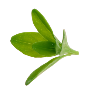 Mareblu - Proteine vegetali con limone e timo - Ingrediente 3