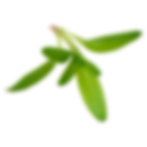 Mareblu - Proteine vegetali con limone e timo - Ingrediente 4